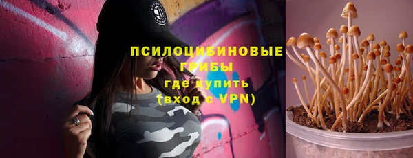 прущая мука Богородицк