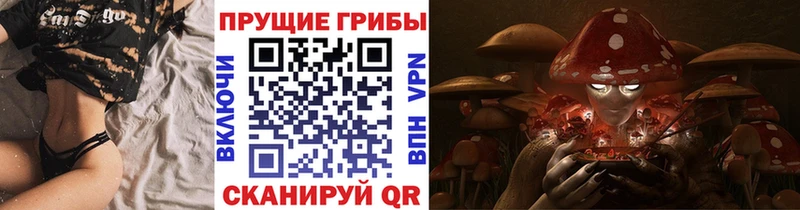 Псилоцибиновые грибы прущие грибы  Владимир 