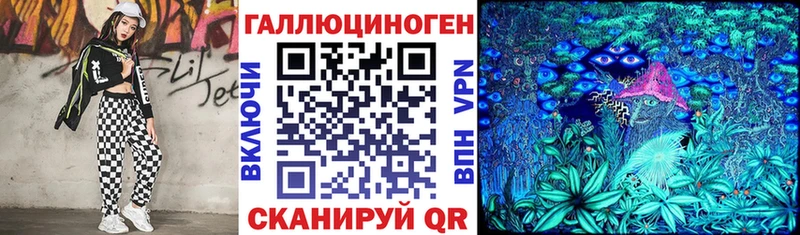 Псилоцибиновые грибы Psilocybine cubensis Владимир